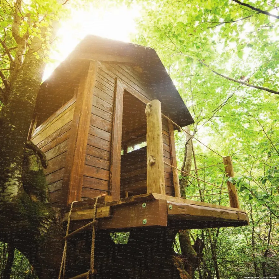 Tree house, representational image